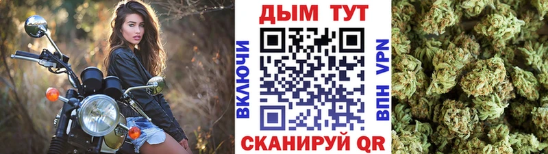 Названия наркотиков Сальск Альфа ПВП  Бошки Шишки 
