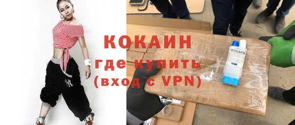 стаф Алексин