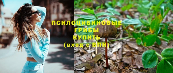 ешки Абаза