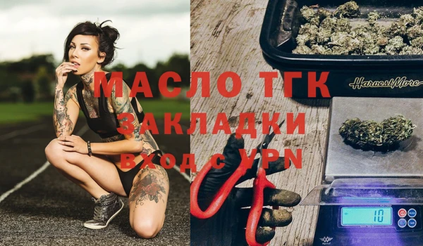 стаф Алексин
