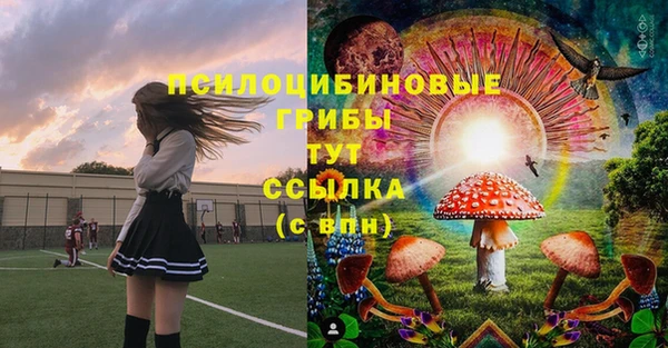 гашик Абинск