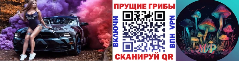 что такое наркотик  Сальск  Псилоцибиновые грибы Psilocybine cubensis 